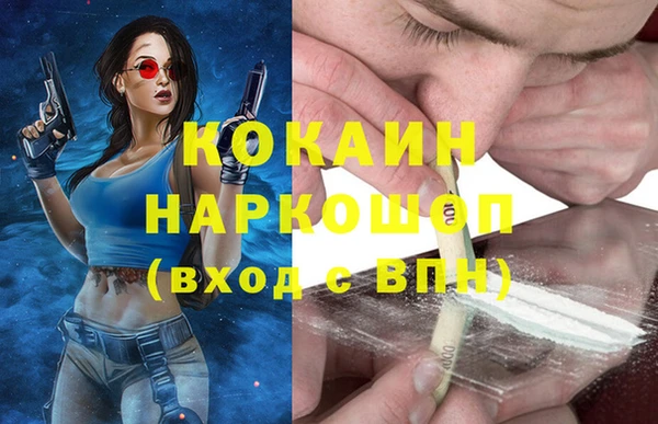 твердый Алзамай