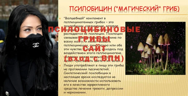 спайс Алексеевка