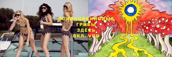 винт Алексин