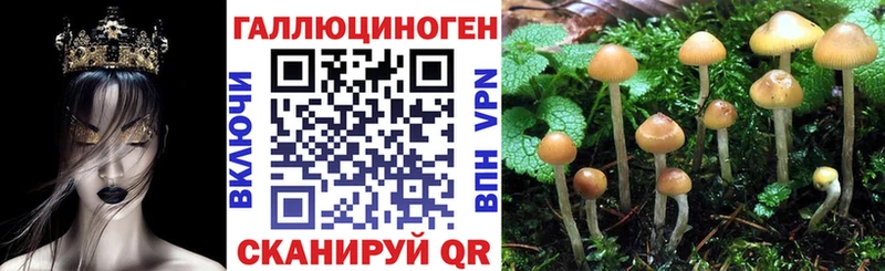 Псилоцибиновые грибы мухоморы  MEGA маркетплейс  Каменск-Уральский 